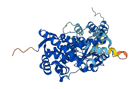 Cyp3a11 3D structure