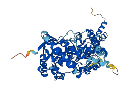 Cyp3a13 3D structure