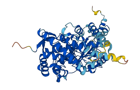 Cyp3a16 3D structure