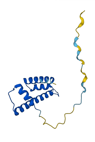 Hist2h2bb 3D structure