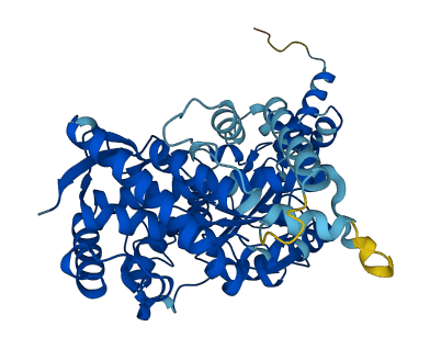 Cyp3a18 3D structure