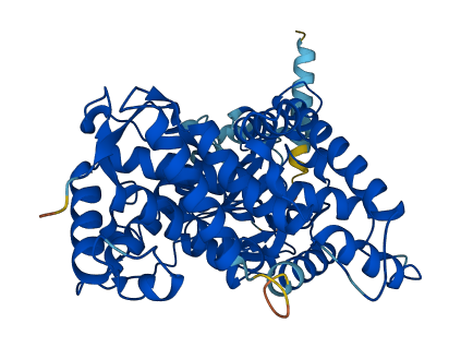 Cyp2b15 3D structure