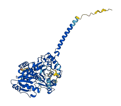 Ugt1a7c 3D structure