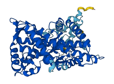 Cyp2d4 3D structure