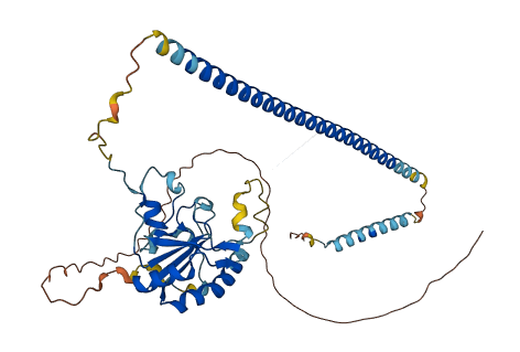 Zrsr1 3D structure