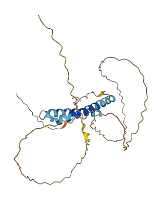 FRG2 3D structure