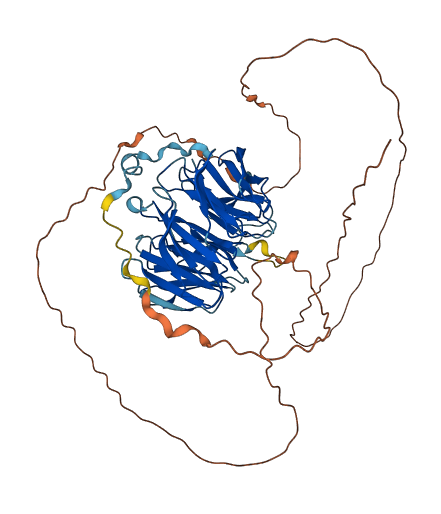 WDR25 3D structure