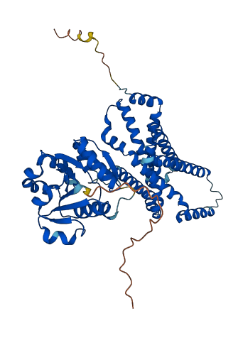 STEAP3 3D structure