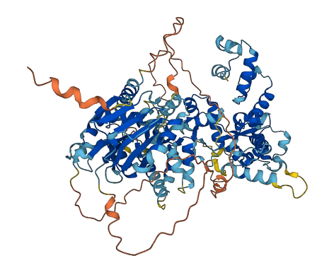 FAM91A1 3D structure