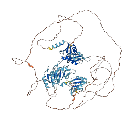 Rbm12b2 3D structure