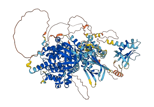 TBC1D9B 3D structure