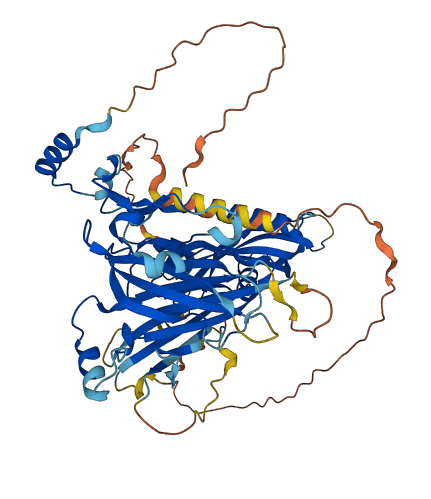 DCAF15 3D structure