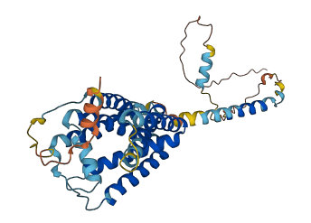 TMEM198 3D structure