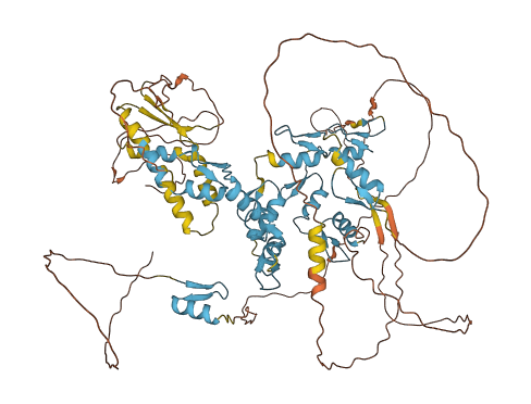 E4F1 3D structure