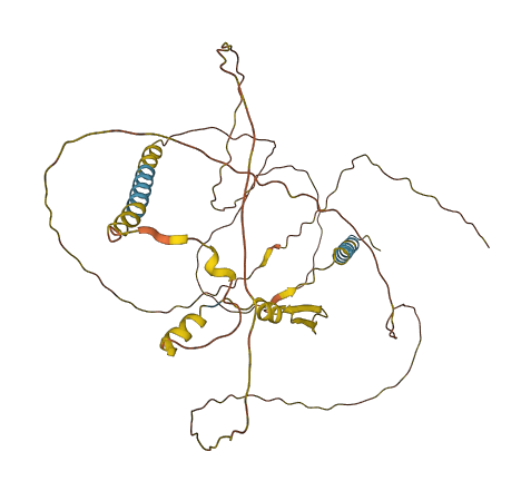 ARL6IP4 3D structure