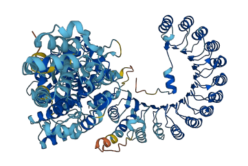 Nlrp9b 3D structure