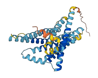 Tas2r134 3D structure
