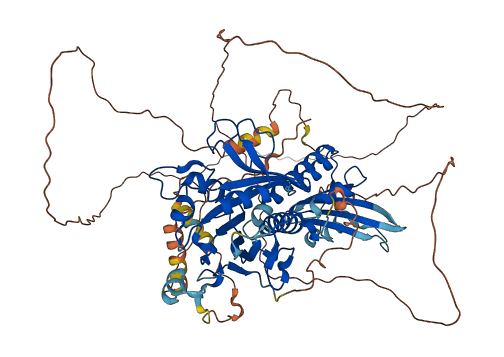 RAP1GAP2 3D structure