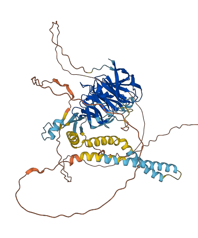 OLFML2A 3D structure