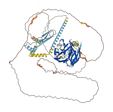 OLFML2B 3D structure