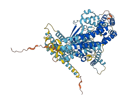 NUGGC 3D structure
