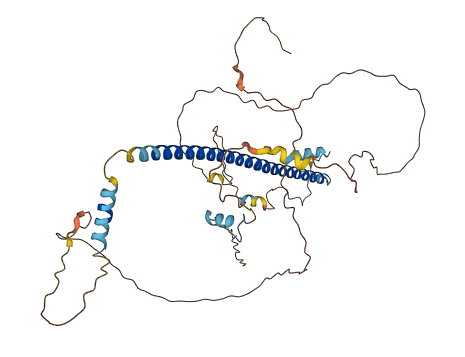 CREB3L3 3D structure