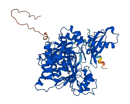 ACSM2B 3D structure