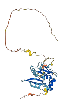 TPGS2 3D structure