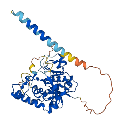 GLT8D1 3D structure