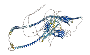 RPGRIP1L 3D structure