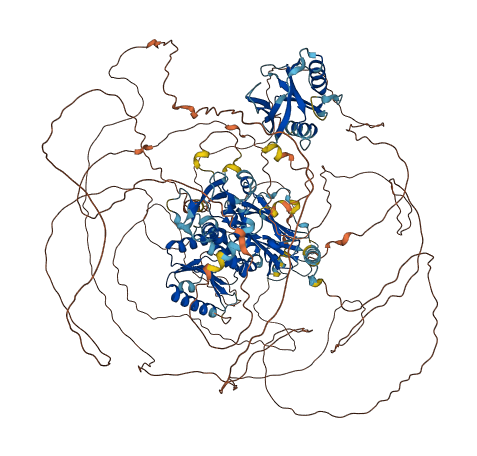 TNS3 3D structure
