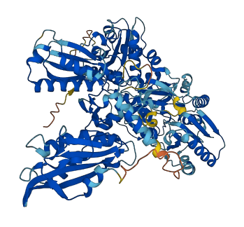 SLFN13 3D structure