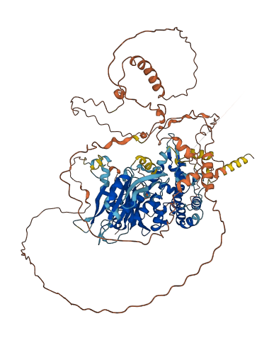 DENND2C 3D structure