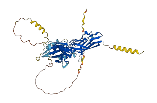 NCR3LG1 3D structure