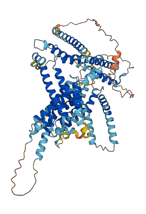 LMBRD2 3D structure