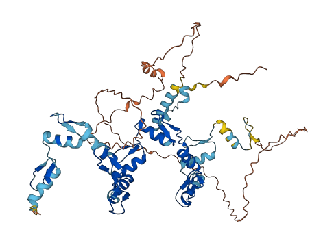 ZNF776 3D structure