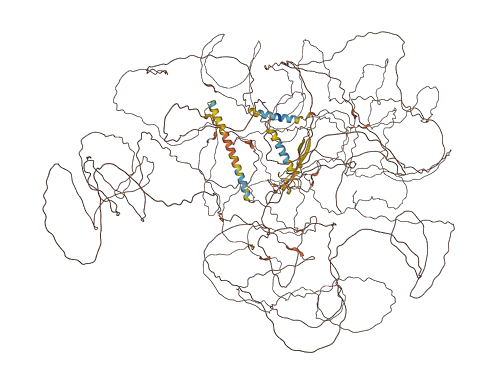 C2orf16 3D structure