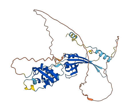 KCTD16 3D structure