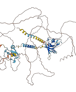 RNF43 3D structure