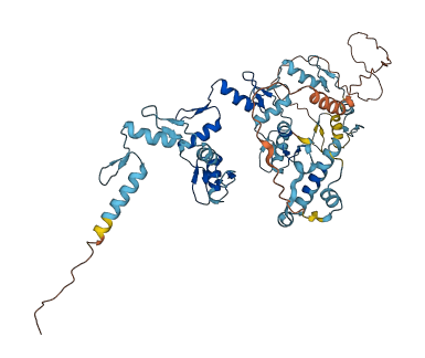 ZNF626 3D structure