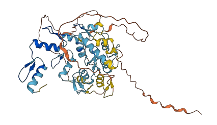 ZNF772 3D structure