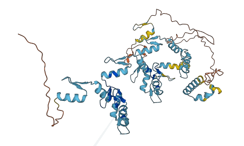 ZNF57 3D structure