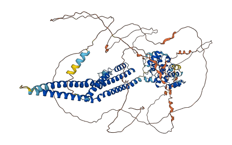 ARHGAP17 3D structure