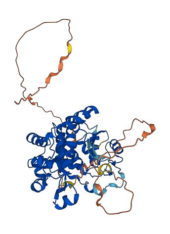 KIAA0895L 3D structure