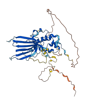 Tmem183 3D structure