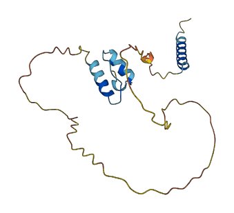 LEMD1 3D structure