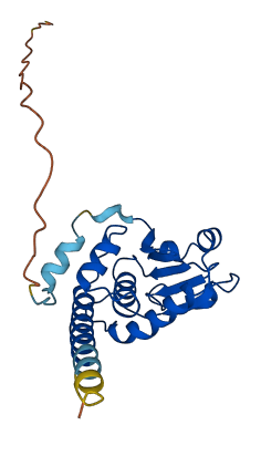 DUPD1 3D structure