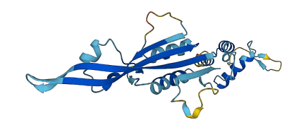 KCTD11 3D structure