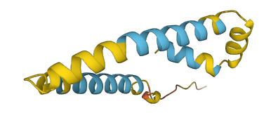 NCBP2AS2 3D structure