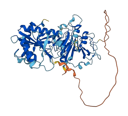 CWF19L1 3D structure